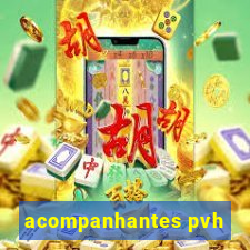 acompanhantes pvh